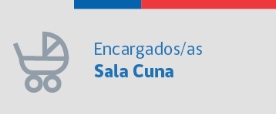 Encargados y Encargadas Sala Cuna
