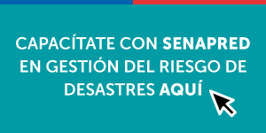 Logo Premio Anual a la Excelencia Institucional