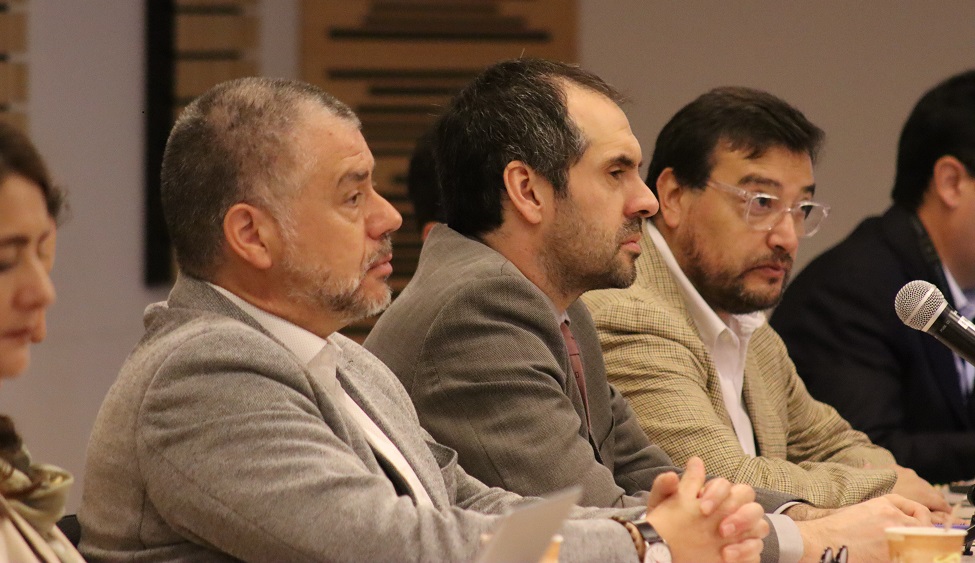 Descripción de la Imagen Destacada