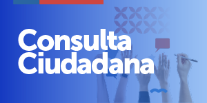 Banner Consulta Ciudadana 2026