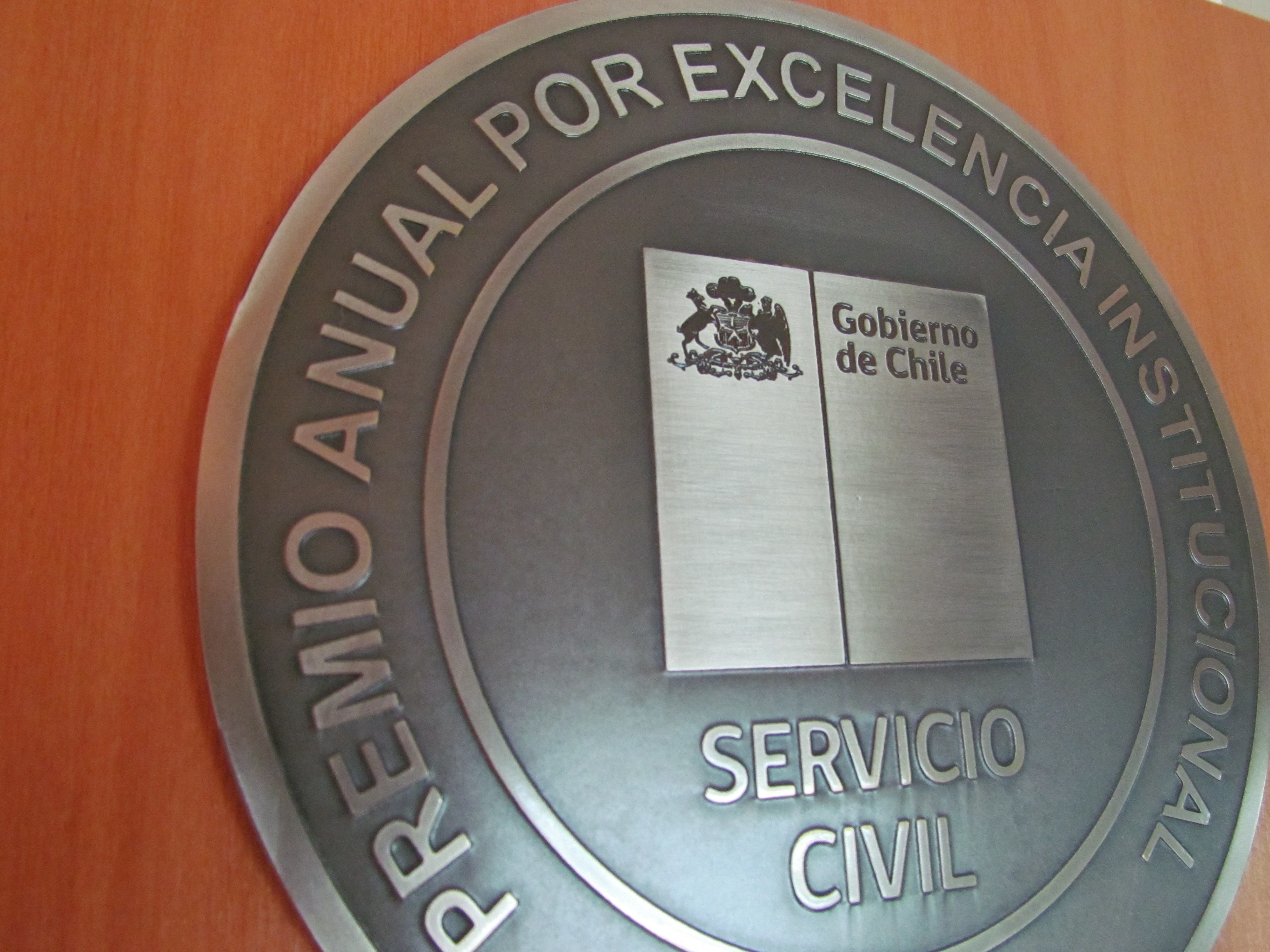 Fondo Nacional de Salud, Instituto de Previsión Social, e Instituto Nacional de Propiedad Industrial obtienen el Premio Anual por Excelencia Institucional 2016